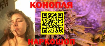 эйфоретик Гай