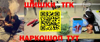 шишки Гатчина