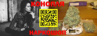 шишки Гатчина