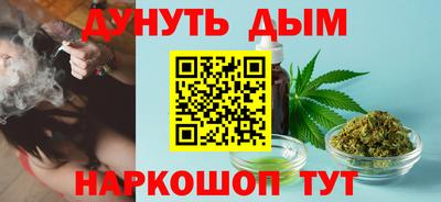 шишки Гатчина