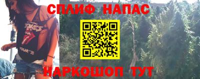 эйфоретик Гай