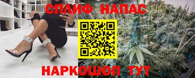 шишки Гатчина