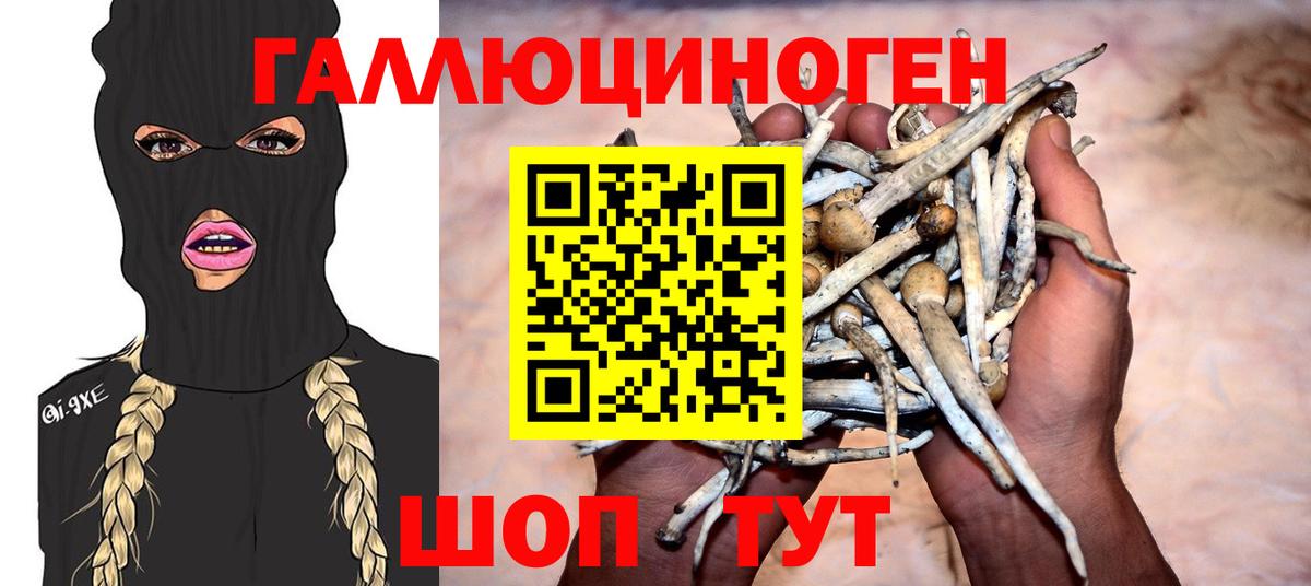 как найти закладки  Псилоцибиновые грибы мицелий  Вход с VPN  Рыбинск  Псилоцибиновые грибы мицелий 